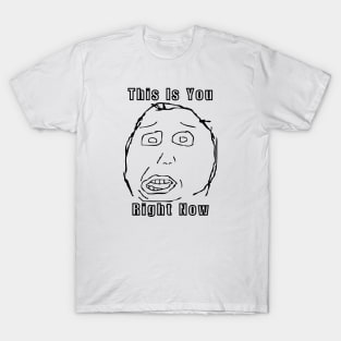 Meme Herp This Is You Right Now T-Shirt